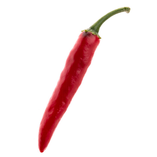 PIANTA DI PEPERONCINO ANNUUM ACRATA GOAT'S WEED - immagine 2