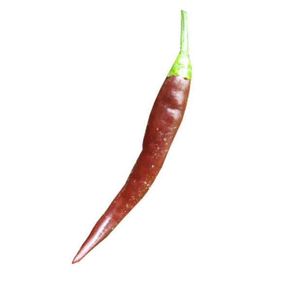 PIANTA DI PEPERONCINO ANNUUM CAYENNA BROWN - immagine 2